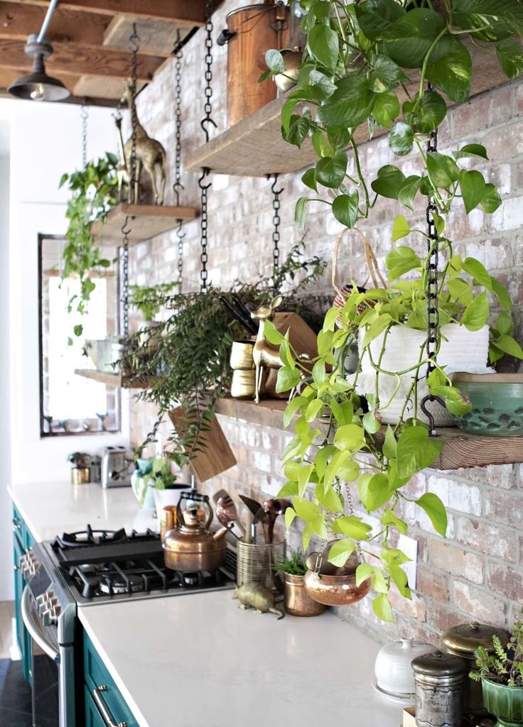 How to Decorate Your Kitchen Using Indoor Herb Gardens - Laya Decor