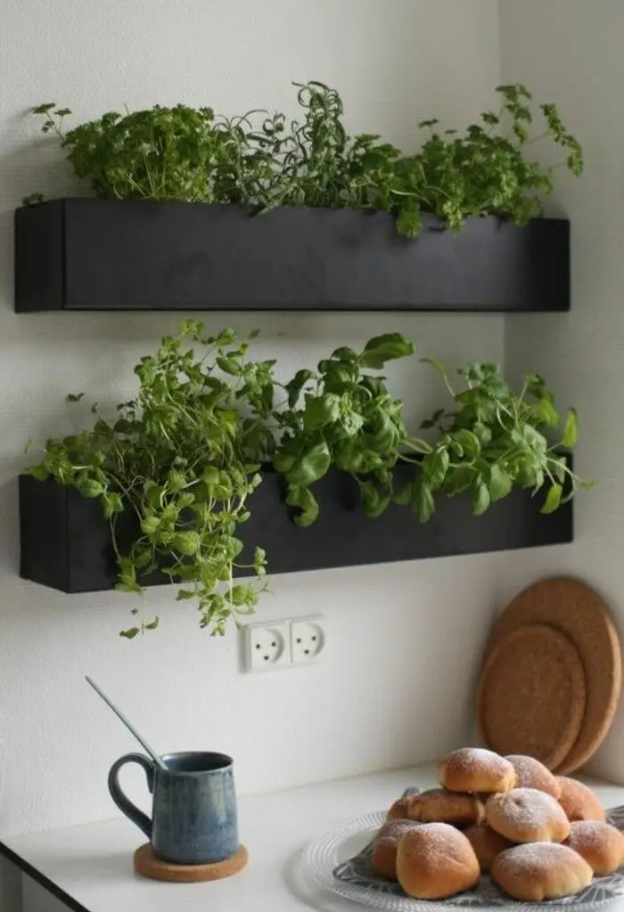 Close-up of basil, mint, and rosemary in decorative planters